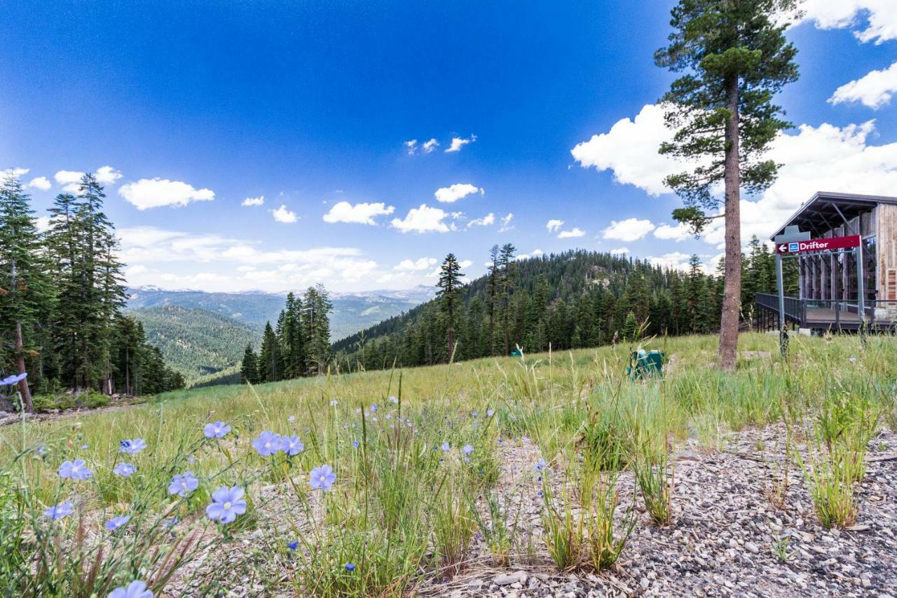 Aspen Grove Studio At Northstar Truckee Eksteriør billede
